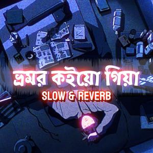 Bhromor koiyo giya Lofi (Sheikh Bijoy)