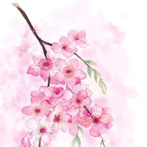 乱世桃花(cover.林子祥&叶倩文)