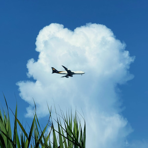 难怪春迟迟不肯来