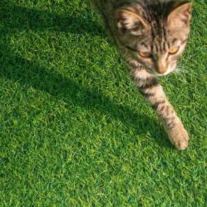 喜欢秋天喜欢你（prod.Lisure）