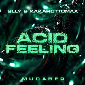 Acid Feeling