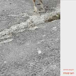 הקצוות החדים