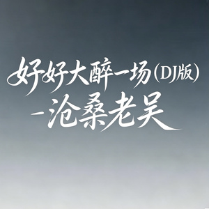 好好大醉一场(DJ版)