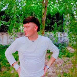 давай дава