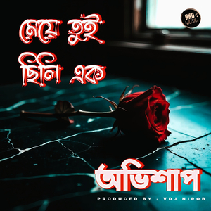 মেয়ে তুই ছিলি এক অভিশাপ
