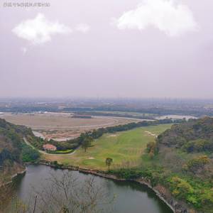 你头顶的风(Dj版)