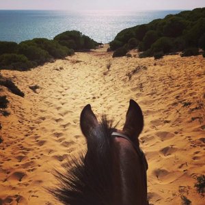 Gregorian-Maria_Moss_&_Marco_Dalla_Villa_-_Viva_La_Vida（垃圾堆电鳗 remix）