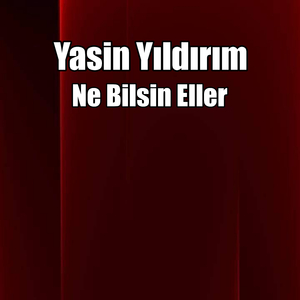 Ne Bilsin Eller