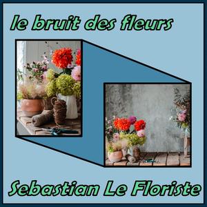 Le Chrysanthème