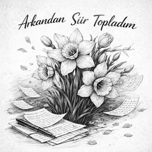 Arkandan Şiir Topladım