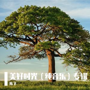 流淌的思绪（纯音乐）