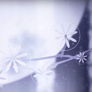 为时不晚（温柔男声）