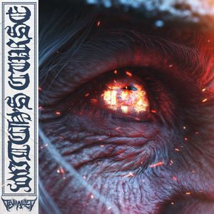 Witch's Curse