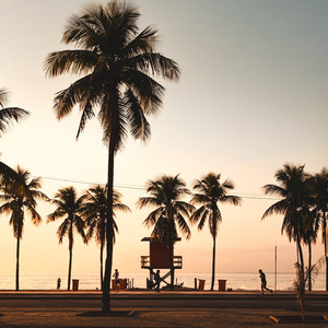 想靠近又想忘记