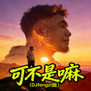 可不是嘛（DJfengzi版）