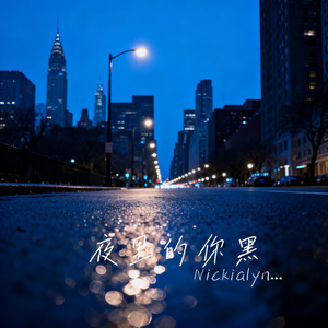 夜里的你