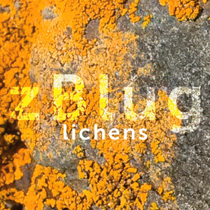 Cyphelium inquinans