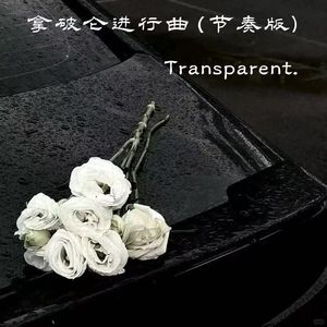 拿破仑进行曲(节奏版)