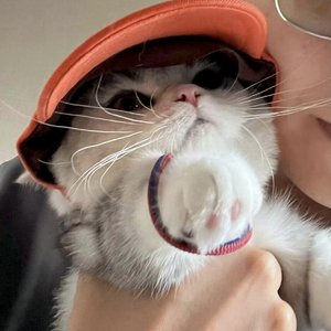 两点的风