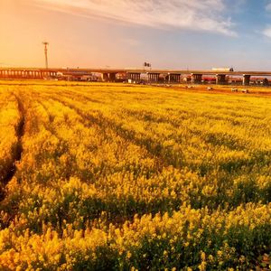 恰好成熟，恰好温柔