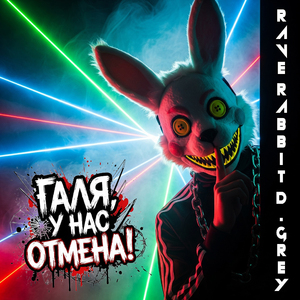 Rave Rabbit D.Grey