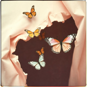 Апатией я называю ненависть