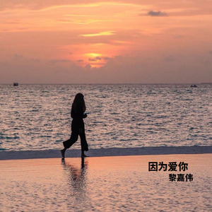 因为爱你（所以我决定把爱都给了你）