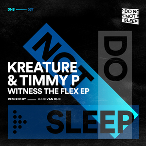The Witness (Luuk Van Dijk Remix Edit)