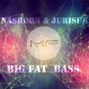 Big Fat Bass (Original Mix)