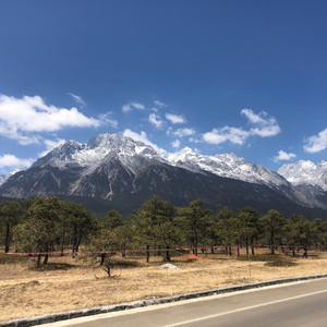 我的城市没有你