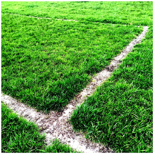 Futbolistas Frustrados