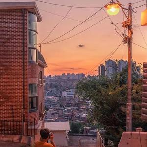 newboy（翻自 盘尼西林）