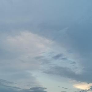 Mystery (1)