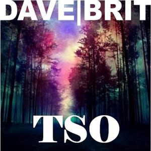 TSO (Radio Edit)