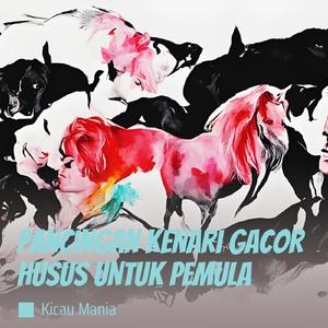 Pancingan Kenari Gacor Husus Untuk Pemula