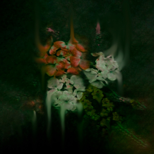 En Enero Hay Días Fríos