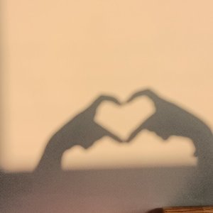 你有没有看见一只小鹿