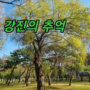 강진의 추억