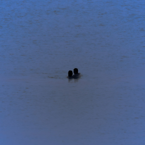 바다가 보이는 곳에서 살아요