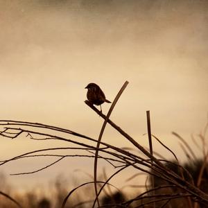 ไม่มีอะไรให้ต้องจำ