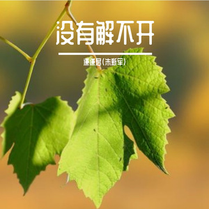 没有解不开