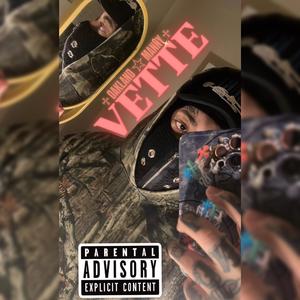 VETTE