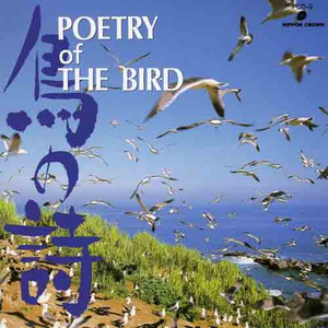 Serenade (Drigo) 德戈里小夜曲