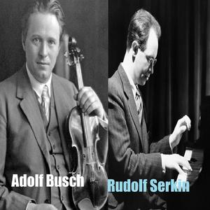 Violin Sonata No. 1 in G Major, Op. 78: III. Allegro molto moderato