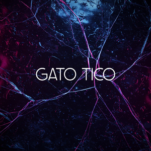 GATO TICO