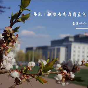 再见！枫雪杏香与蔚蓝色