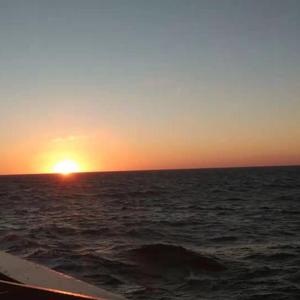 囚鸟_20220428_100316_101140