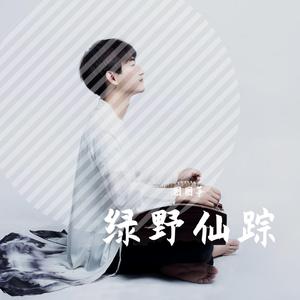 绿野仙踪-古筝版