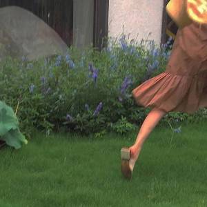 夏天的风（翻自 温岚）