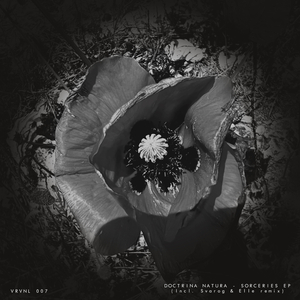 Sorceries (Elle Sonnenallee Bonus Digital remix)